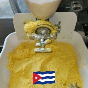 Meet your Posher, Yami